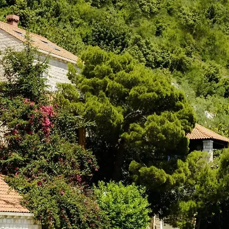 Villa Nautica